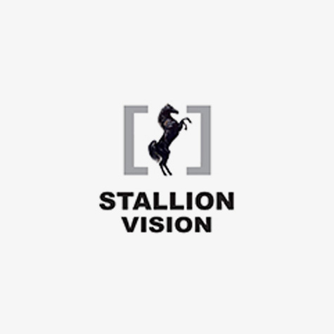 Stallion Vision
